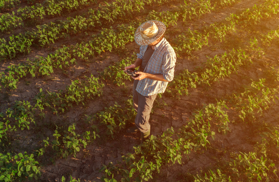 diseño sin título (40)