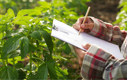 diseño sin título (44)