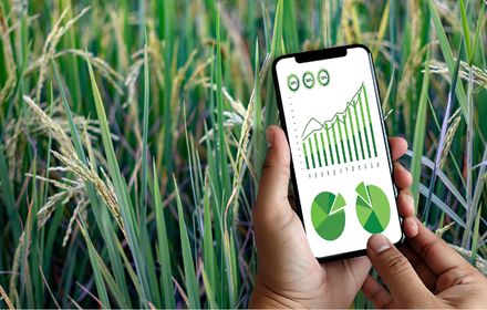 diseño sin título (46)