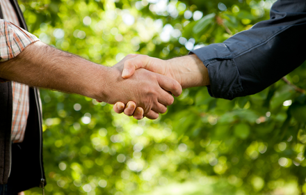 diseño sin título (47)