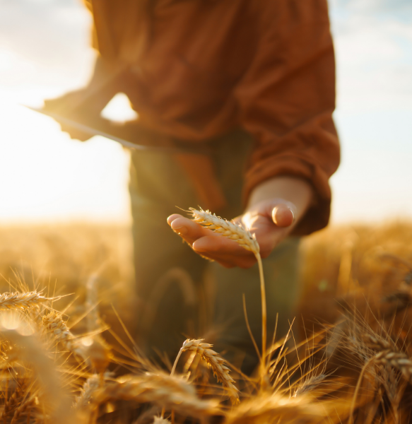 diseño sin título (53)