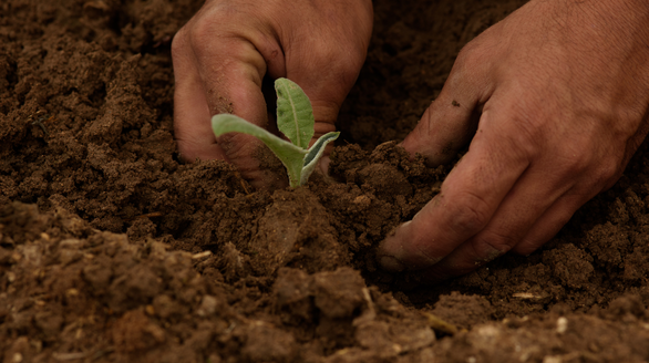 diseño sin título (56)