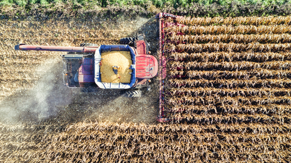 diseño sin título (58)