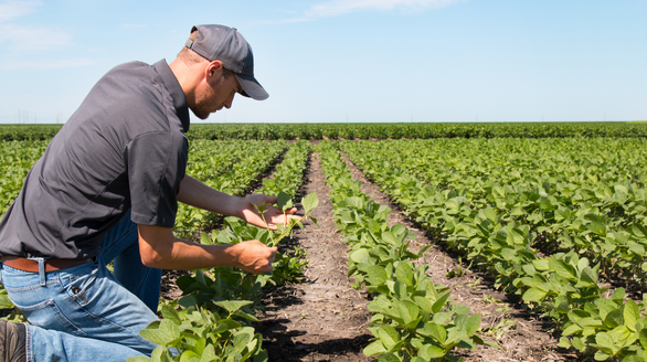 diseño sin título (59)