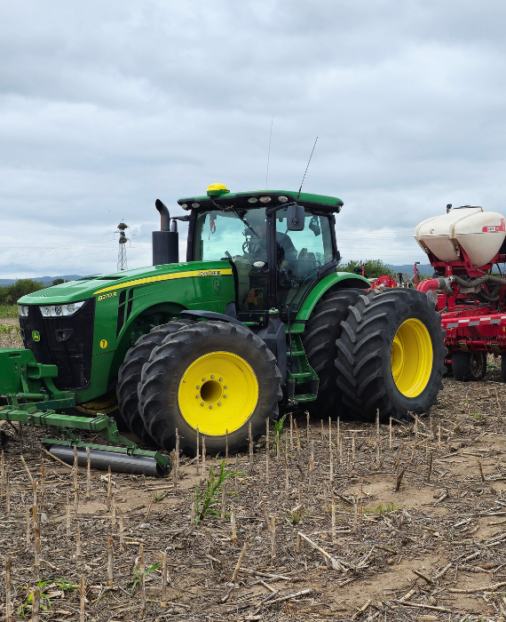 diseño sin título (2)