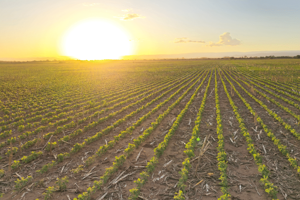 diseño sin título 3